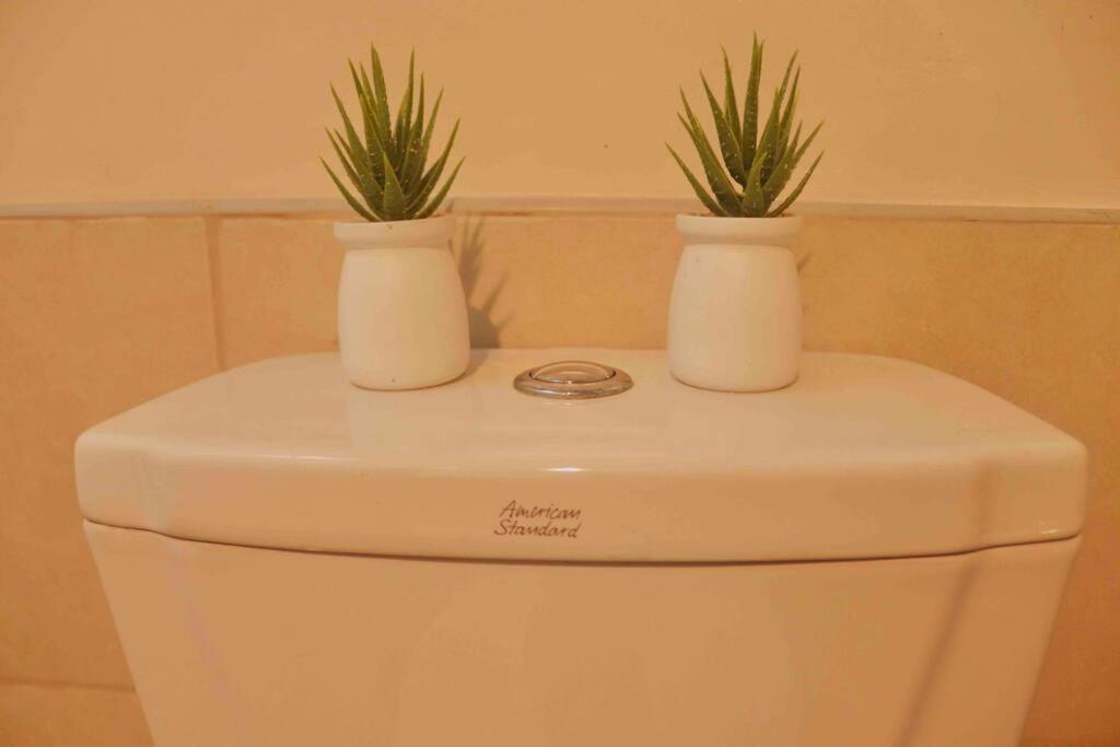 , Wifi Up To 100mbps , Infinity Pool * Cebu